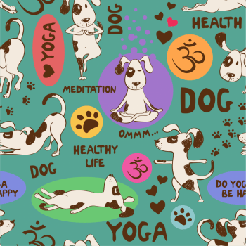 PET DOG - CORTES DE 0,50M E 1,00M